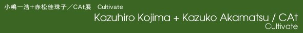 Kazuhiro Kojima + Kazuko Akamatsu / CAt Cultivate