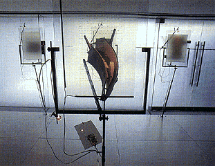 exhibition scene