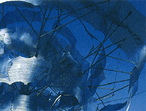 exhibition scene