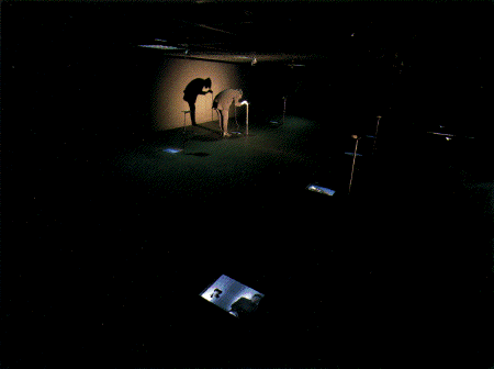 exhibition scene