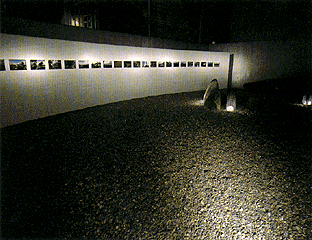 exhibition scene