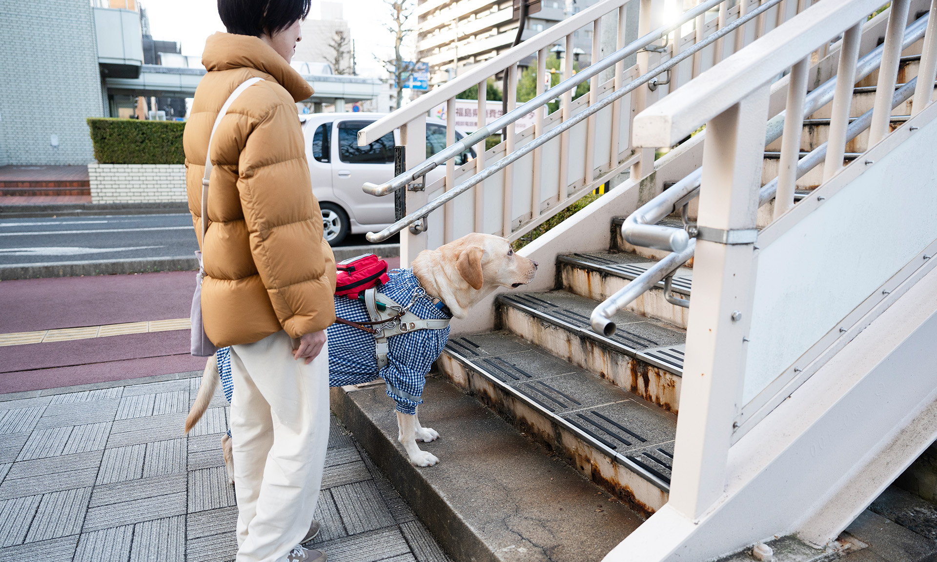 歩道橋の一段目に両前足をかけて登り階段であることを教えるデイズくん。鈴木さんが横に立っている
